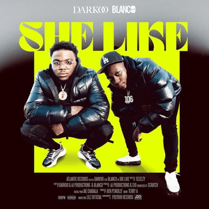 She Like (feat. Blanco) by Darkoo