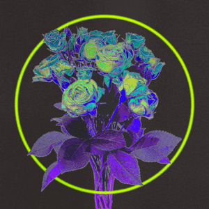Sunset Jam by Baltra