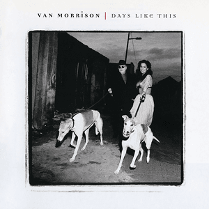 Days Like This by Van Morrison