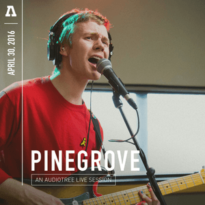 Pinegrove on Audiotree Live by Pinegrove