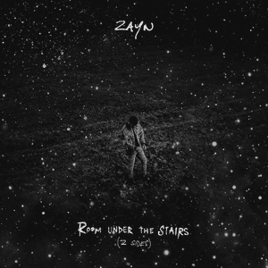 ROOM UNDER THE STAIRS (Z SIDES) by ZAYN