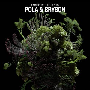 FABRICLIVE presents Pola & Bryson (DJ Mix) by Sleepnet