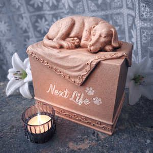Next Life by Tzusing