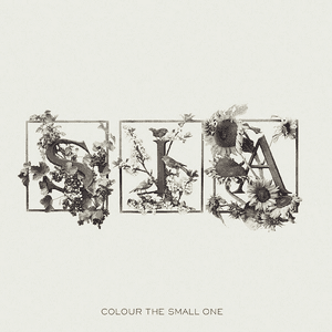 Colour the Small One by Sia