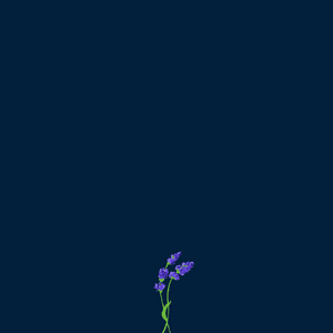 us by gnash