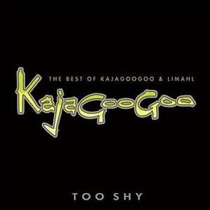 The Greatest Hits by Kajagoogoo