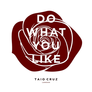 Do What You Like by Taio Cruz