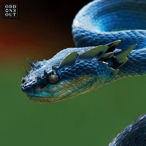 Is This Trance? by YOTTO