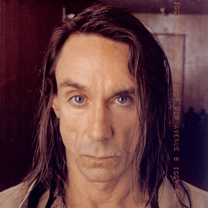 Avenue B by Iggy Pop