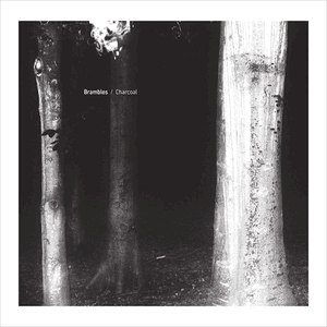 Charcoal by Brambles