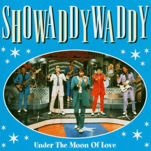 Under the Moon of Love by Showaddywaddy