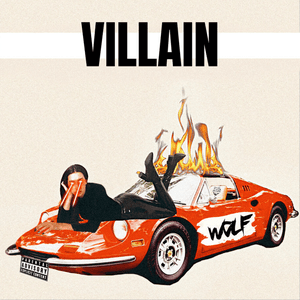 Villain by Julia Wolf