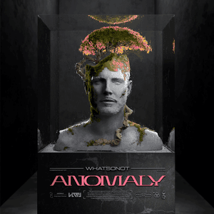 Anomaly by What So Not