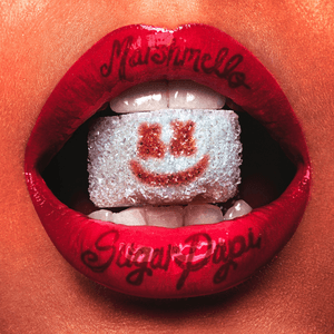 Sugar Papi by Marshmello