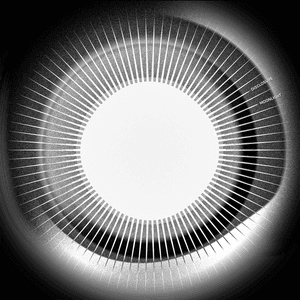 Moonlight by Disclosure