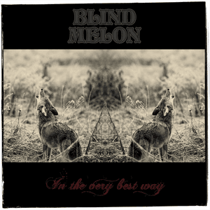 In the Very Best Way by Blind Melon