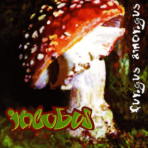 Fungus Amongus by Incubus