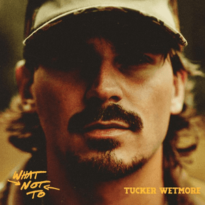 What Not To by Tucker Wetmore