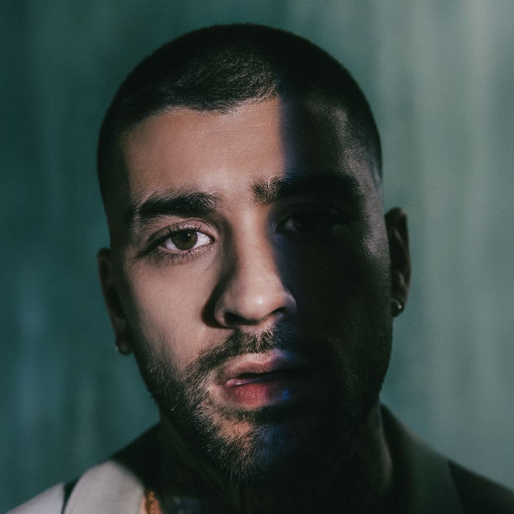 ZAYN