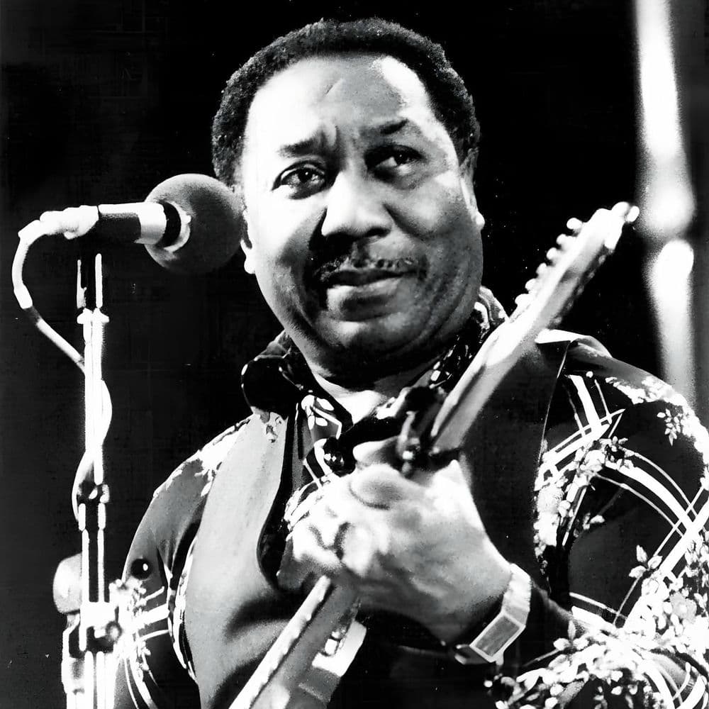 Muddy Waters