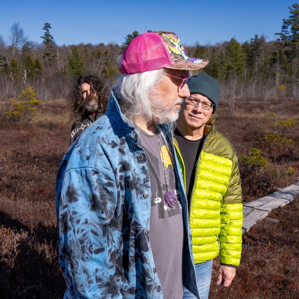 Dinosaur Jr.