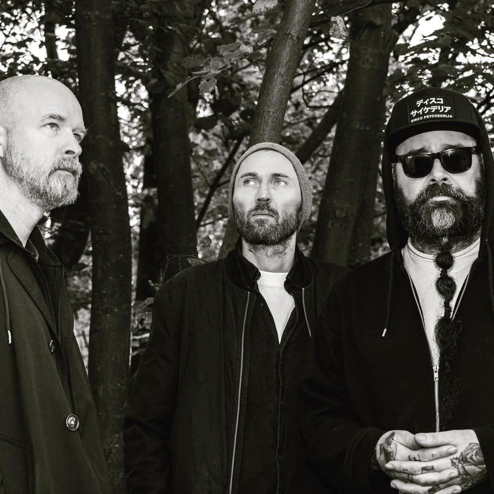 Ulver