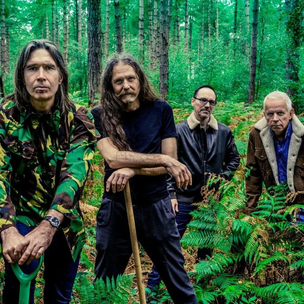 Del Amitri