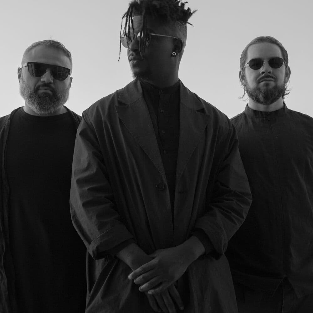Animals as Leaders