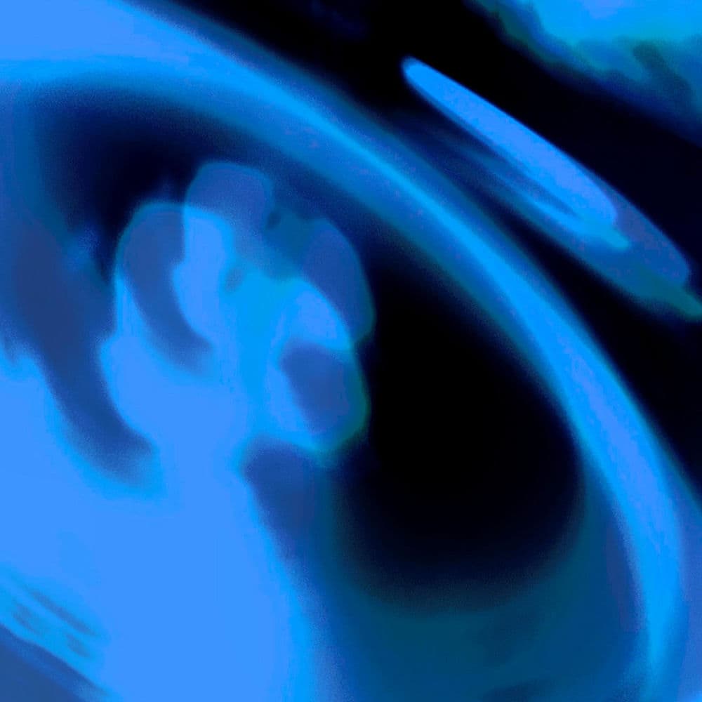 BLOTTTER