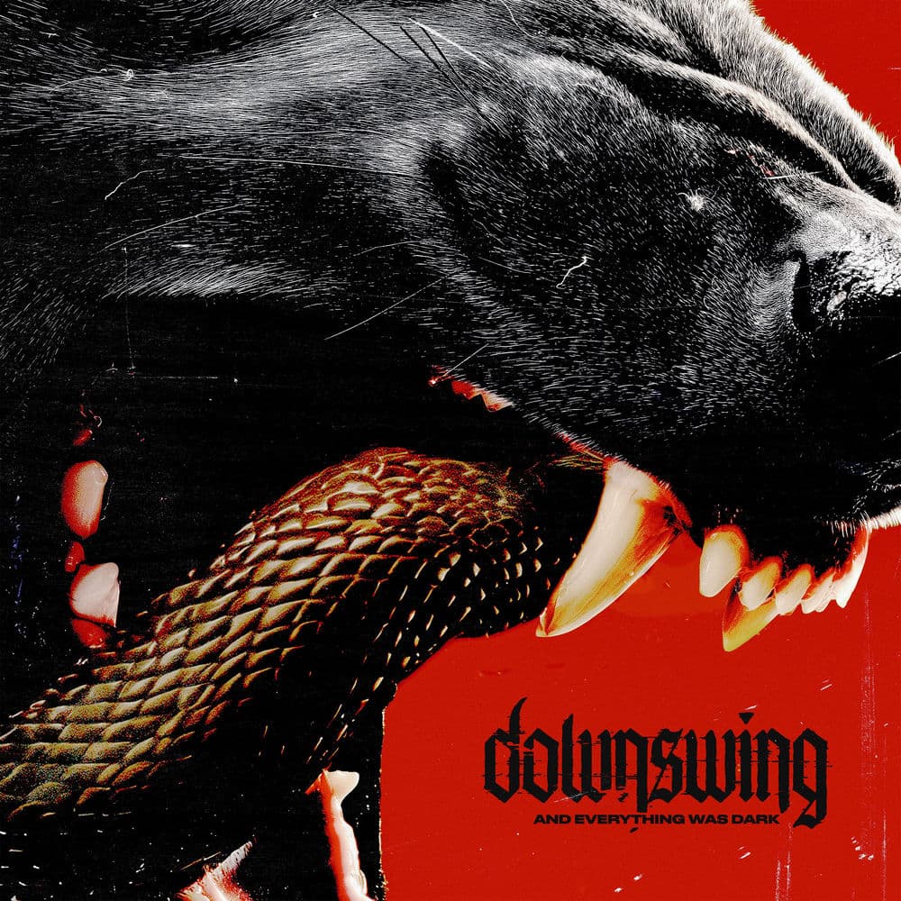 Downswing