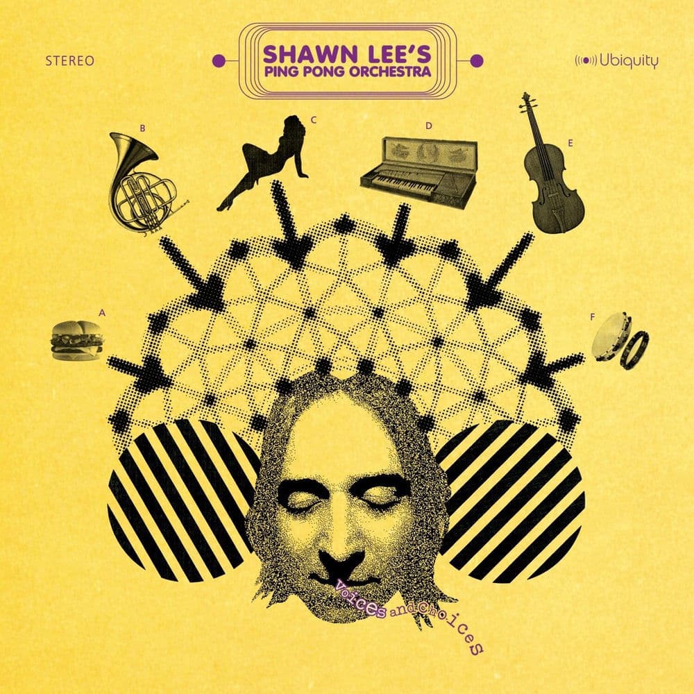 Shawn Levy