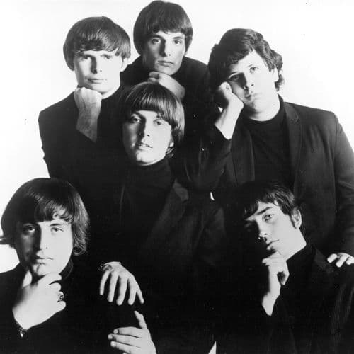 The Turtles