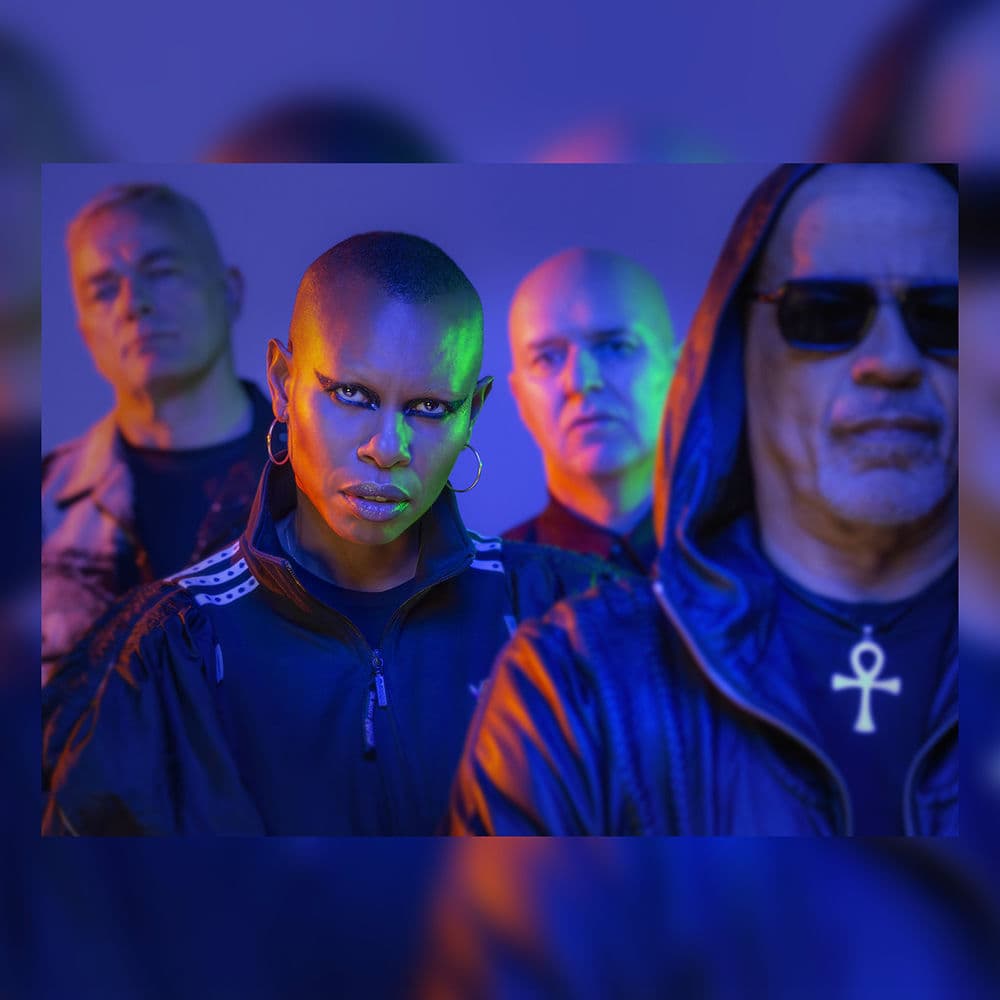 Skunk Anansie