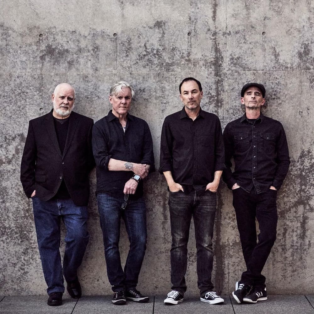 Toadies
