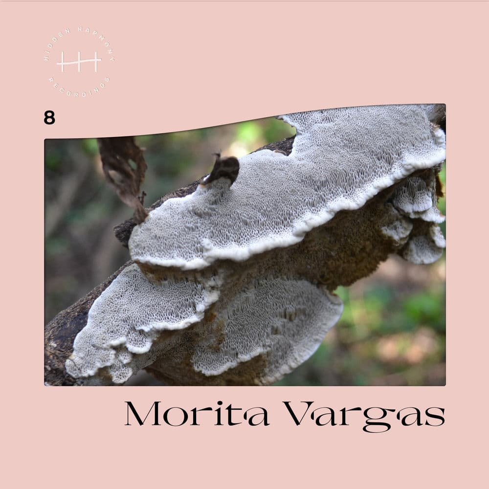 Morita Vargas