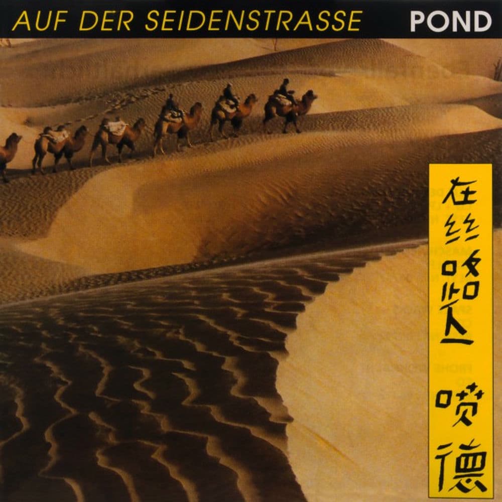 Pond