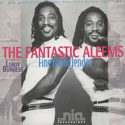 The Fantastic Aleems