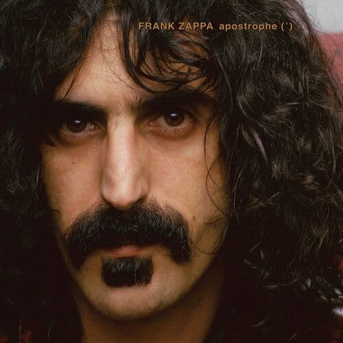 Don't Eat the Yellow Snow by Frank Zappa