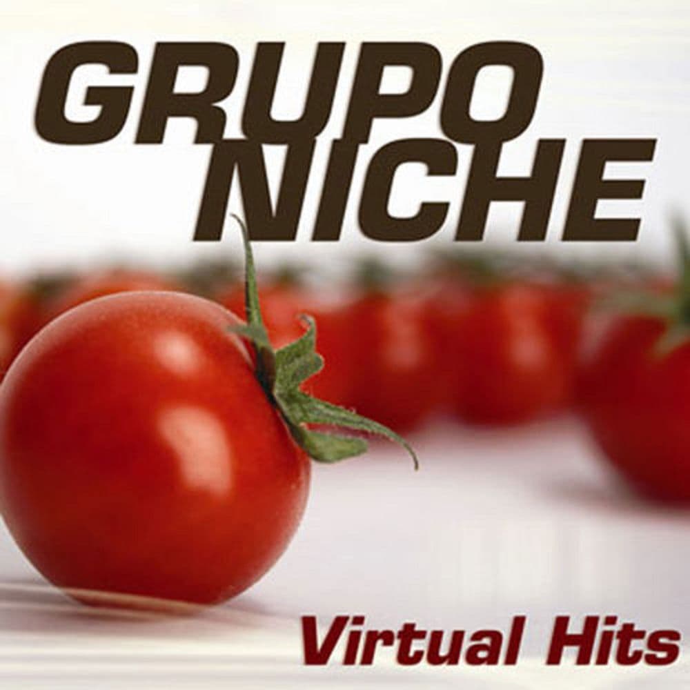 Virtual Hits by Grupo Niche