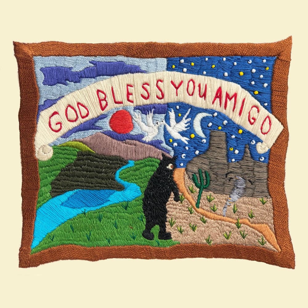 God Bless You Amigo by The Felice Brothers