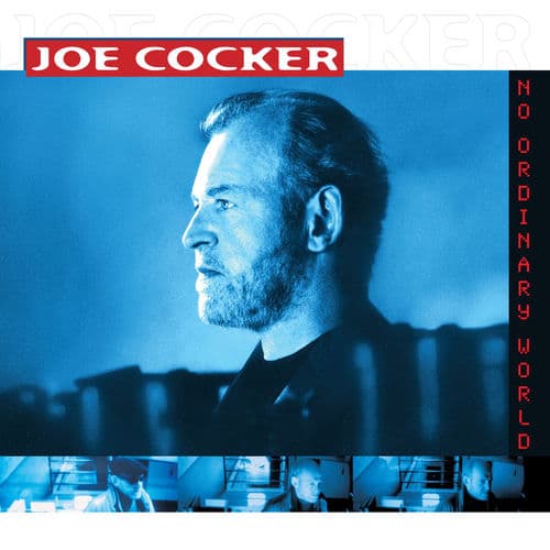No Ordinary World by Joe