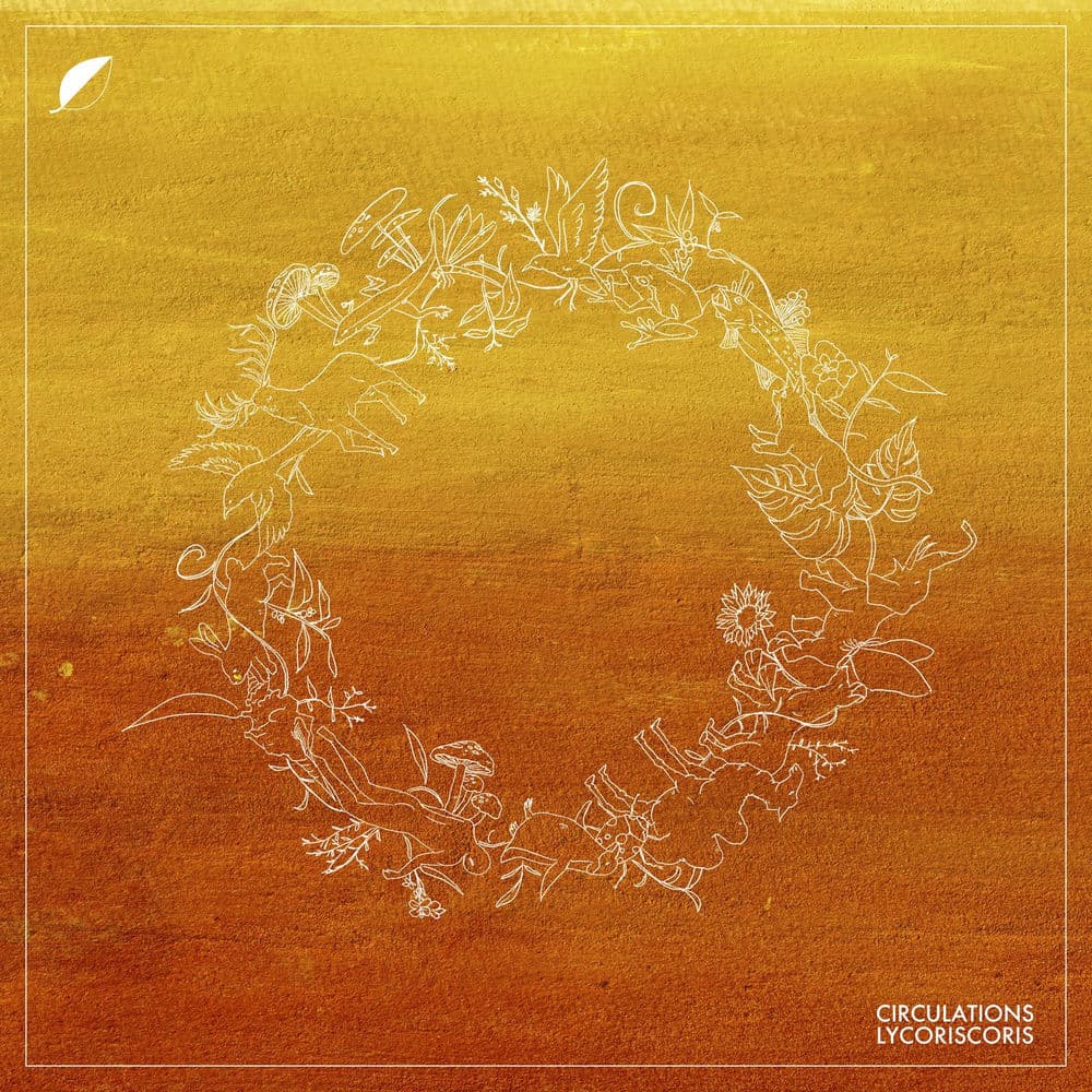 Circulations by Lycoriscoris