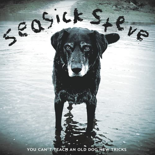 You Can't Teach An Old Dog New Tricks by Seasick Steve