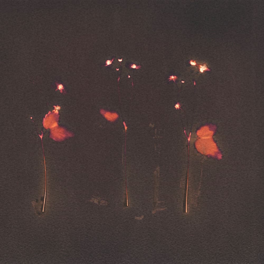 Peach Sky by Theo Bleak