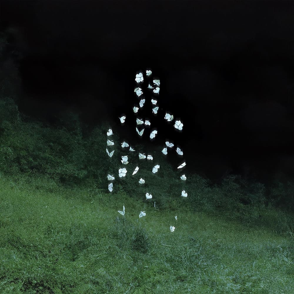 A Hectare to Roam (feat. Kinnship) by Tutara Peak