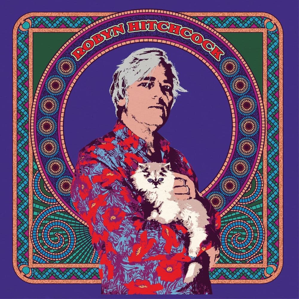 Robyn Hitchcock by Robyn Hitchcock