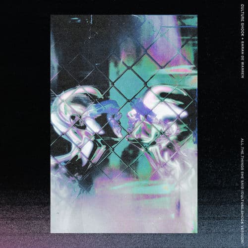 All The Things She Said (Culture Shock Version) by Culture Shock