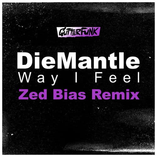Way I Feel (Zed Bias Remix) by DieMantle