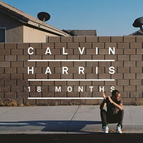 "I Need Your Love" by Calvin Harris featuring Ellie Goulding