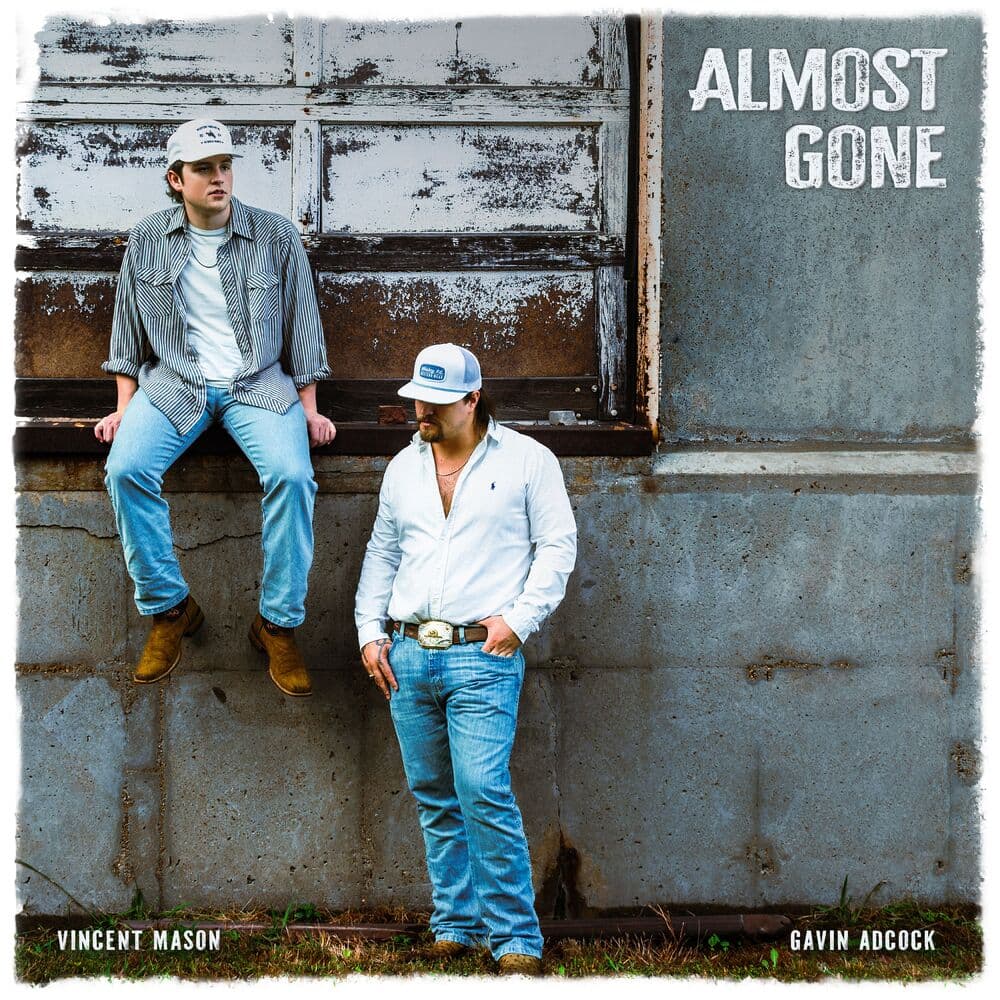 Almost Gone by Vincent Mason